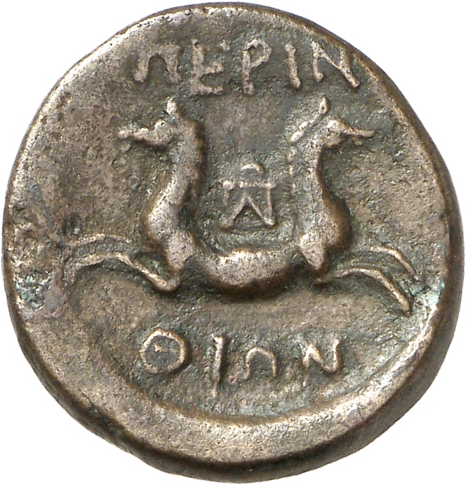 reverse CN Type cn.perinthus.1_ed.20