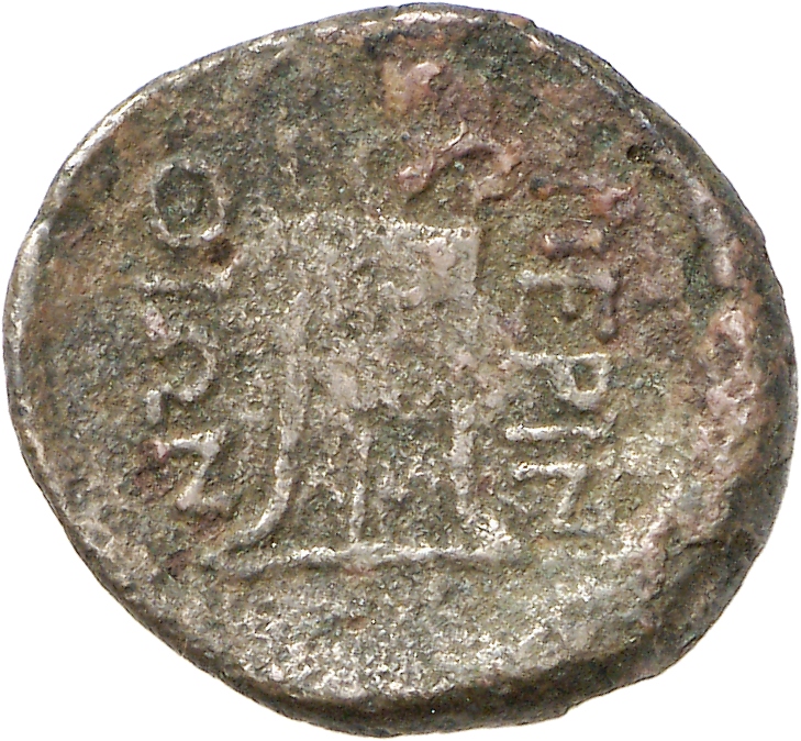 reverse CN Type cn.perinthus.1_ed.40