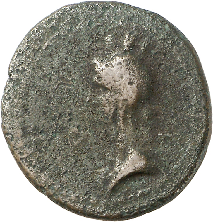 CN Type cn.perinthus.1_ed.44, аверс, cn-coins