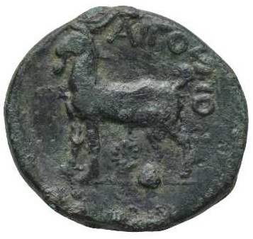 coin rev