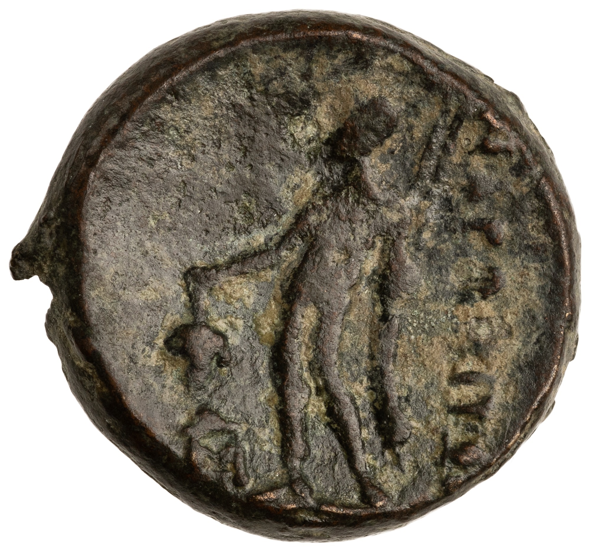 CN Type cn.maroneia.1_ed.388, реверс, cn-coins