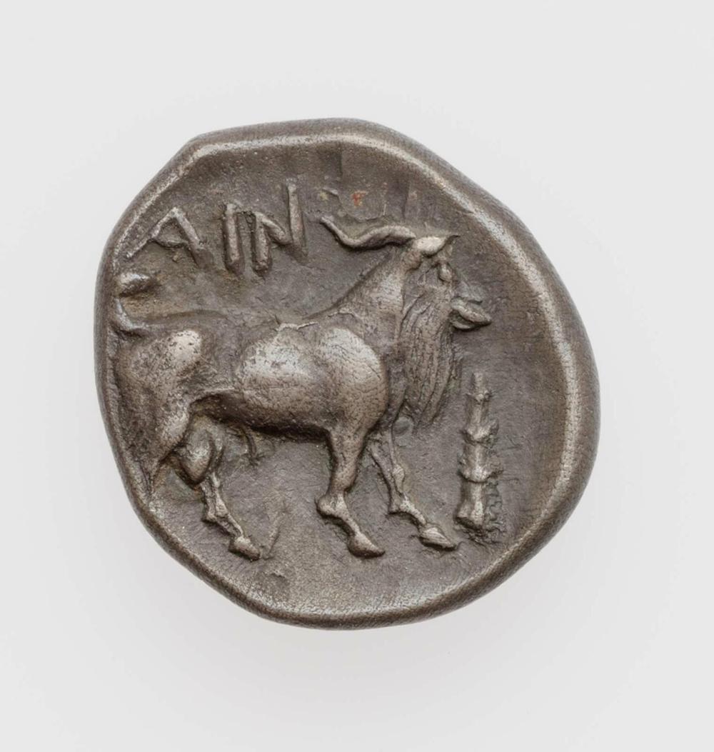 CN Type cn.aenus.1_ed.40, реверс, cn-coins