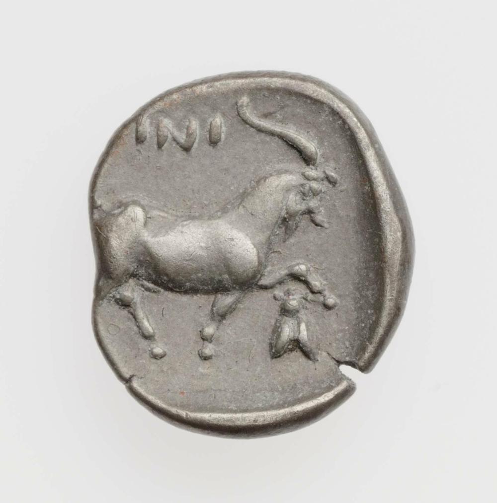 CN Type cn.aenus.1_ed.64, реверс, cn-coins