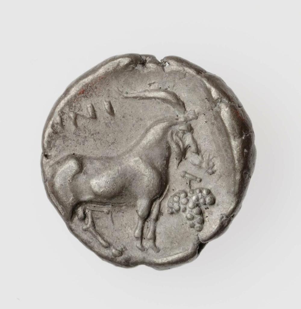 CN Type cn.aenus.1_ed.65, реверс, cn-coins