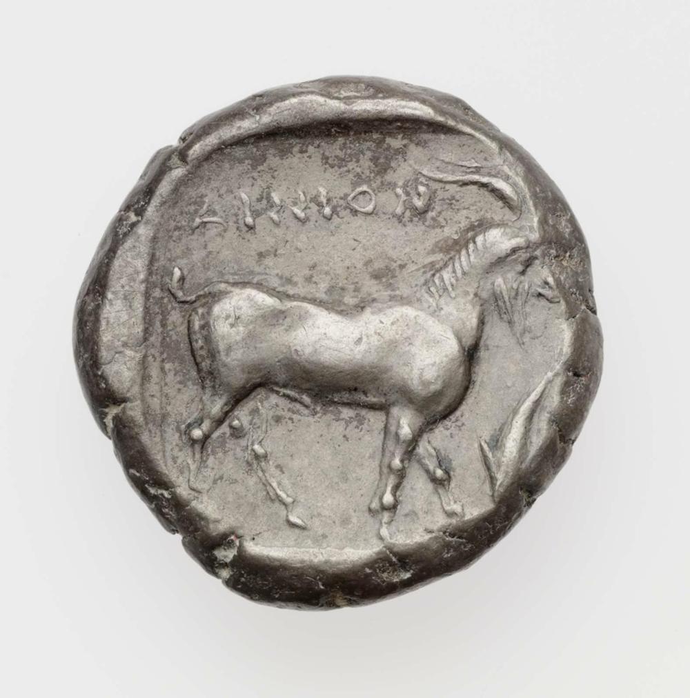 coin rev