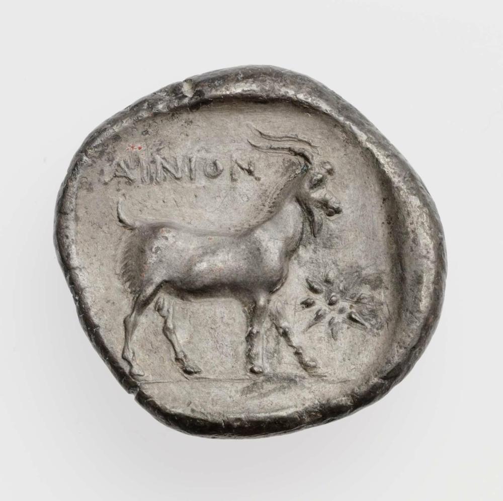 coin rev