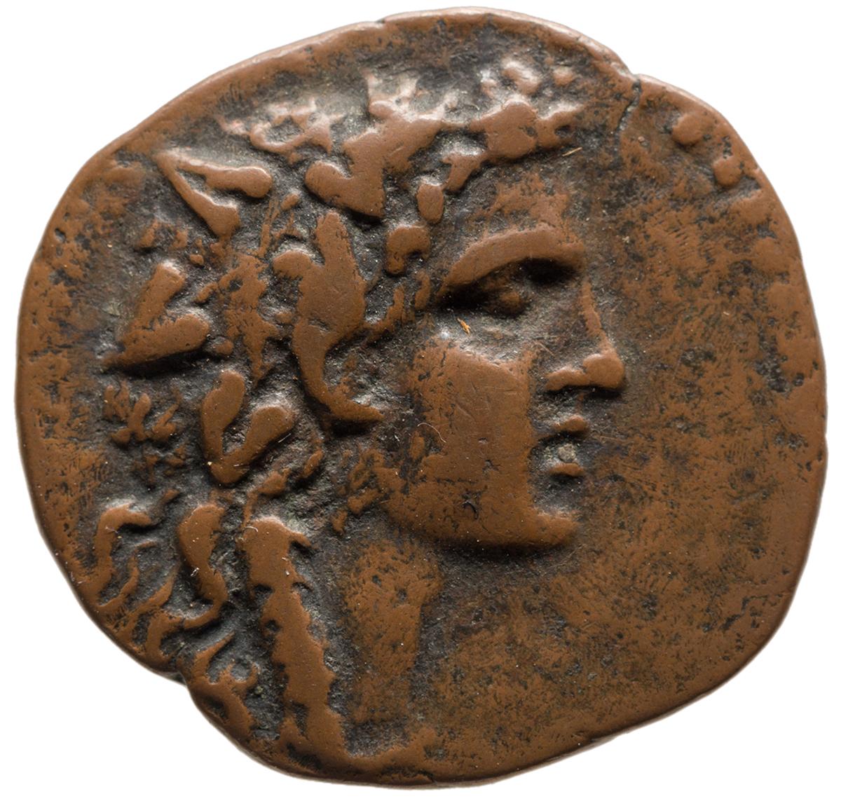 CN Type cn.perinthus.1_ed.55, аверс, cn-coins