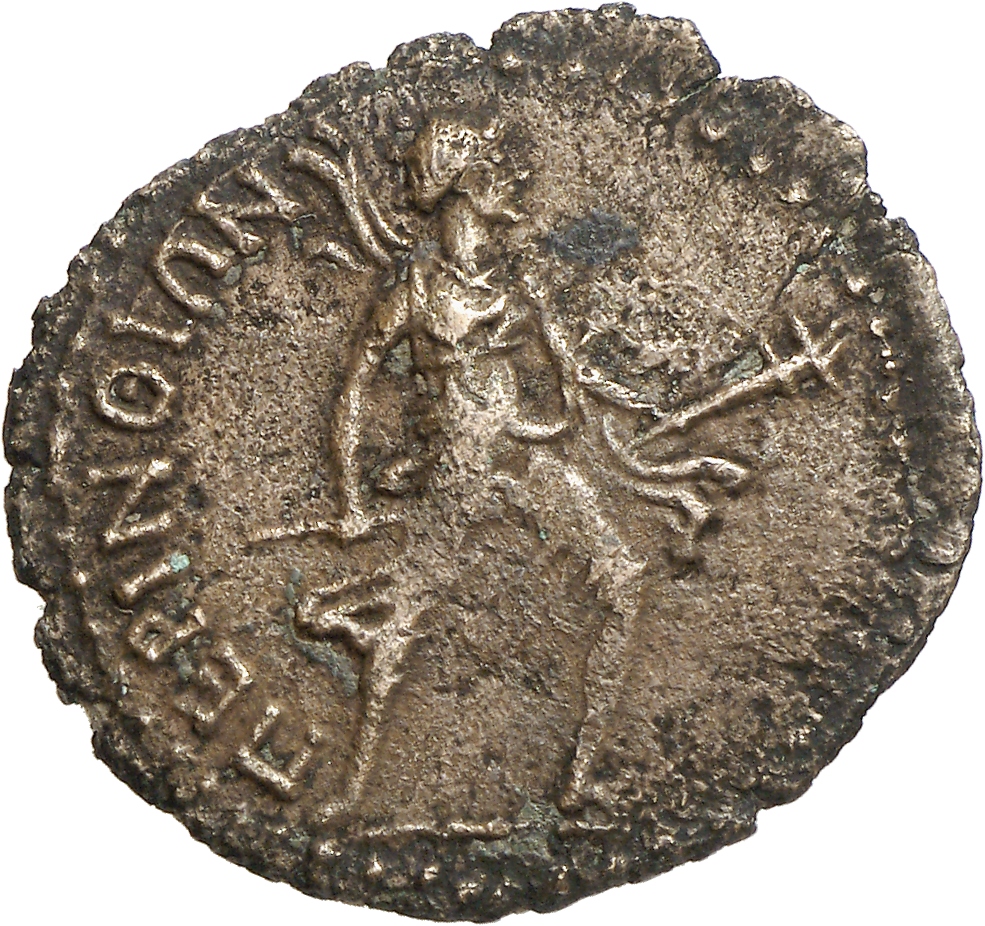 reverse CN Type cn.perinthus.1_ed.56