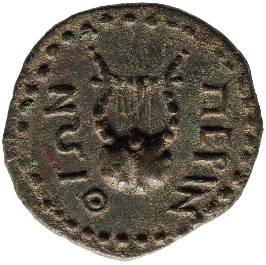 reverse CN Type cn.perinthus.1_ed.58