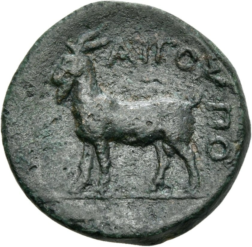 CN Type cn.aegospotami.1_ed.3, реверс, cn-coins