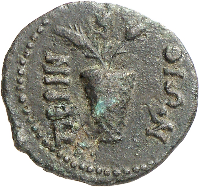 CN Type cn.perinthus.1_ed.61, реверс, cn-coins