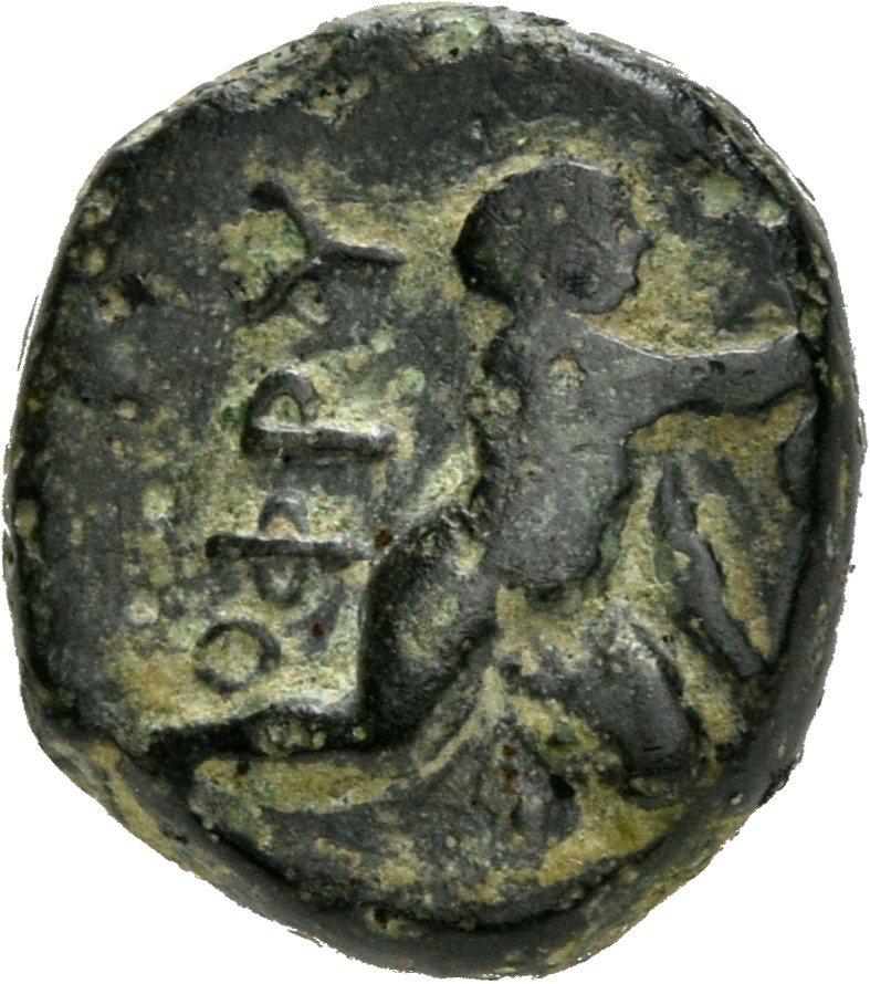 CN Type 4911, реверс, cn-coins