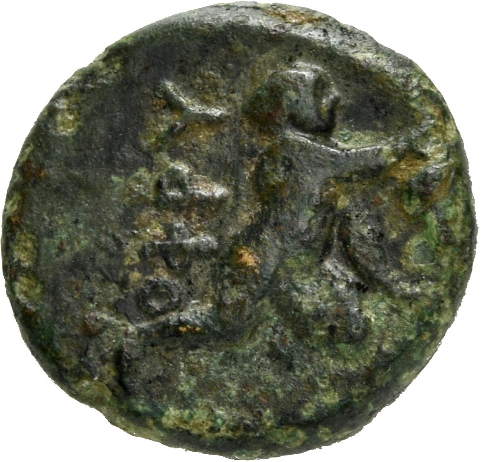CN Type 4911, реверс, cn-coins