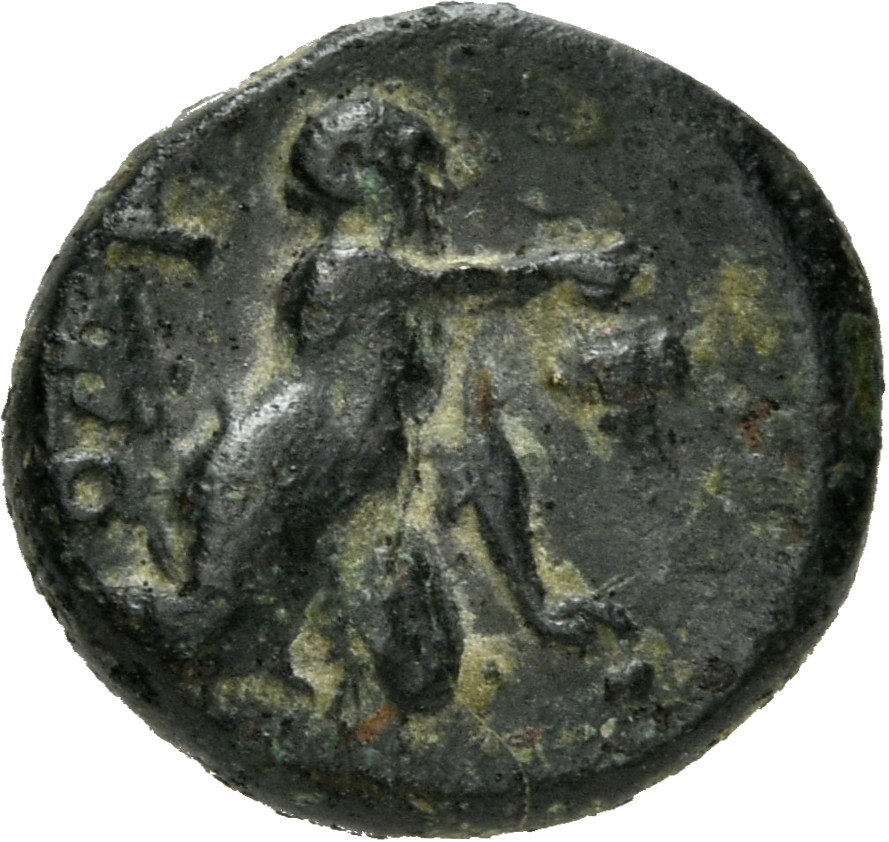 CN Type 4911, реверс, cn-coins
