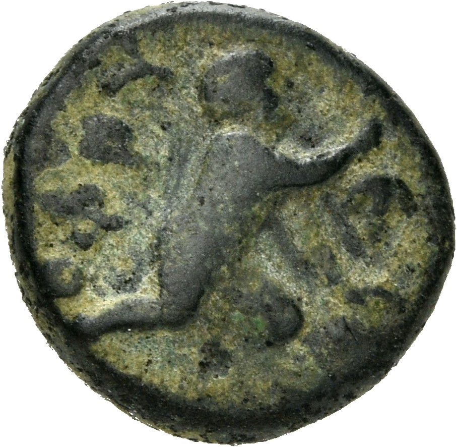 CN Type 4911, реверс, cn-coins
