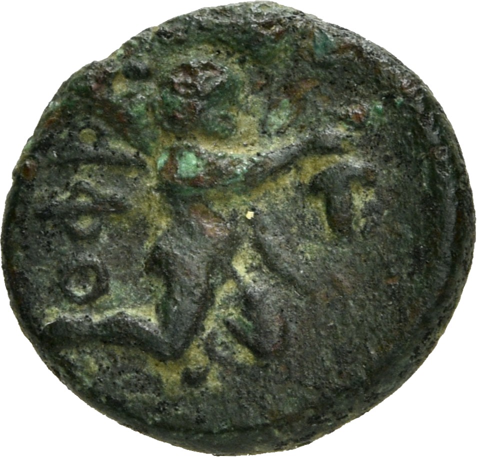 CN Type 4911, реверс, cn-coins