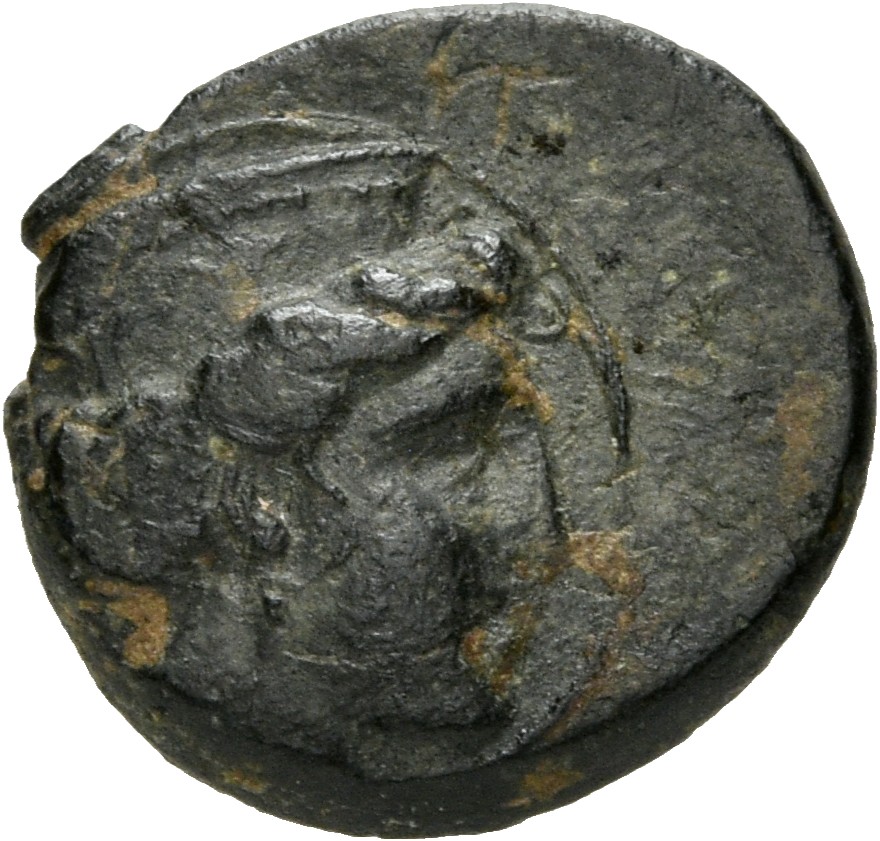 CN Type 4923, аверс, cn-coins
