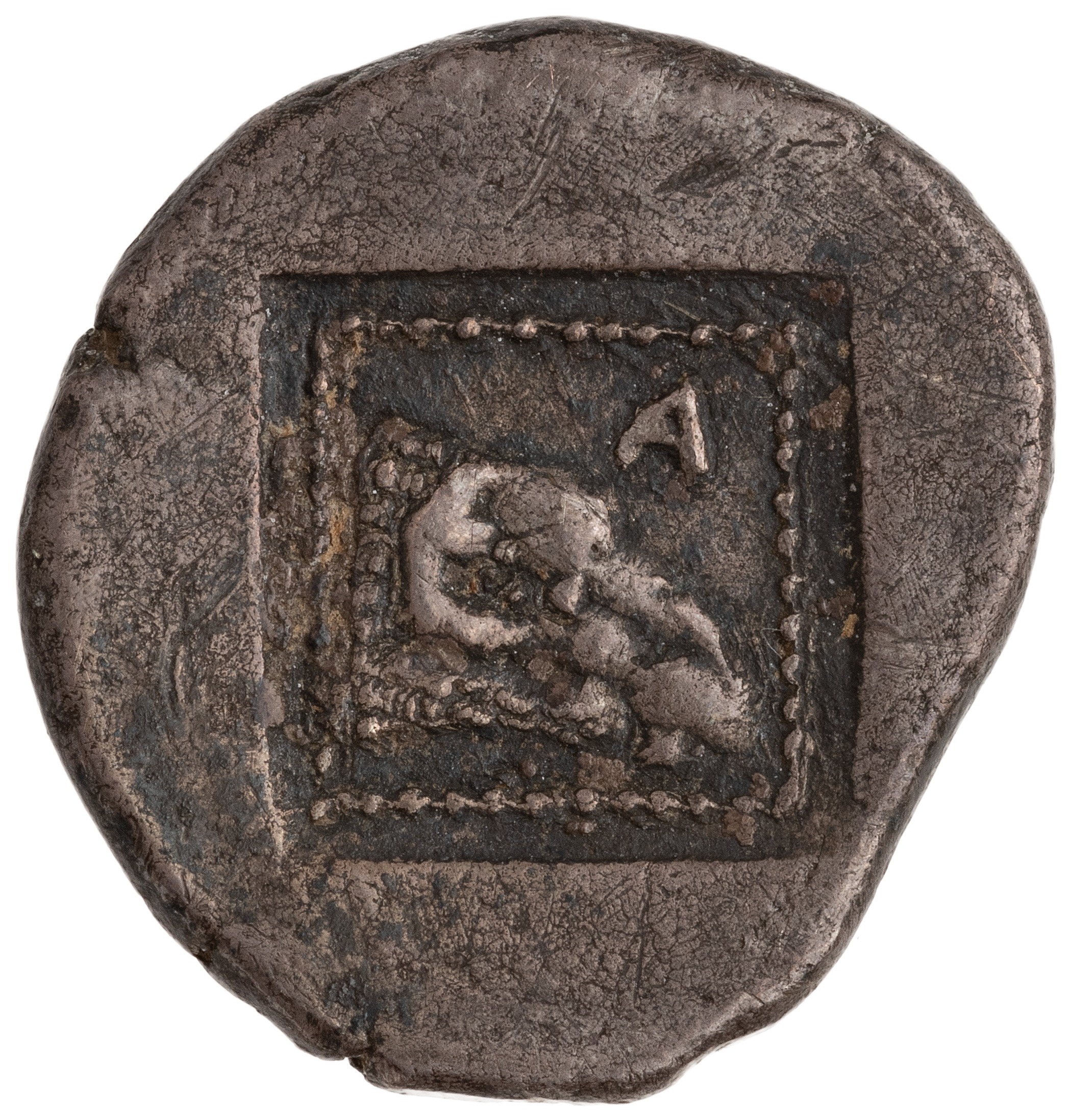 реверс CN Type cn.maroneia.1_ed.30