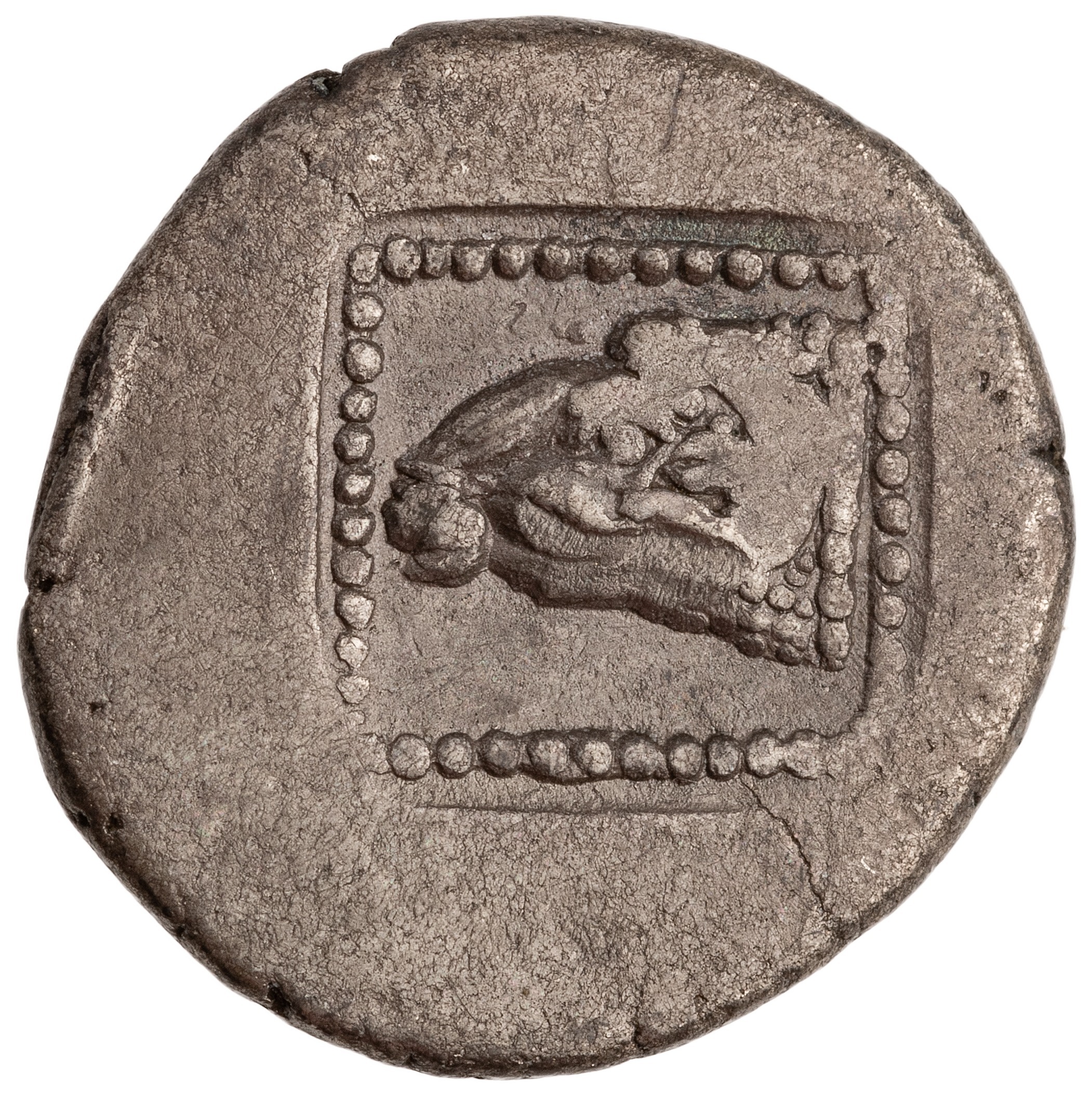 reverse CN Type cn.maroneia.1_ed.26