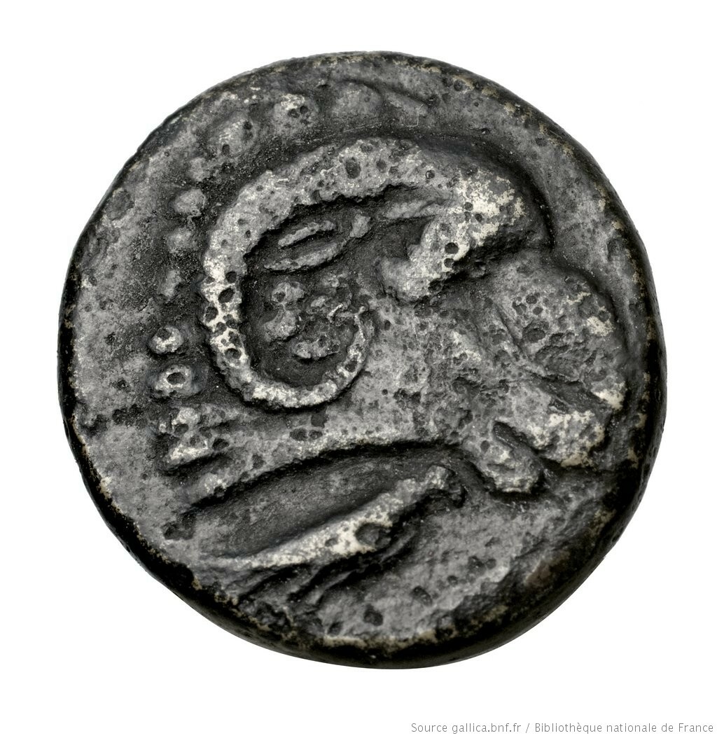 CN Type 12077, реверс, cn-coins