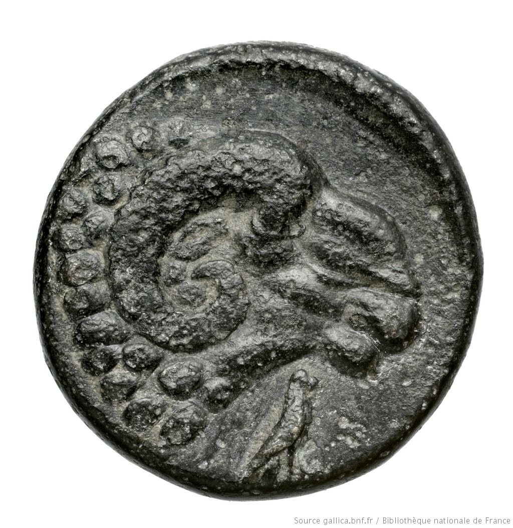 CN Type 12077, реверс, cn-coins
