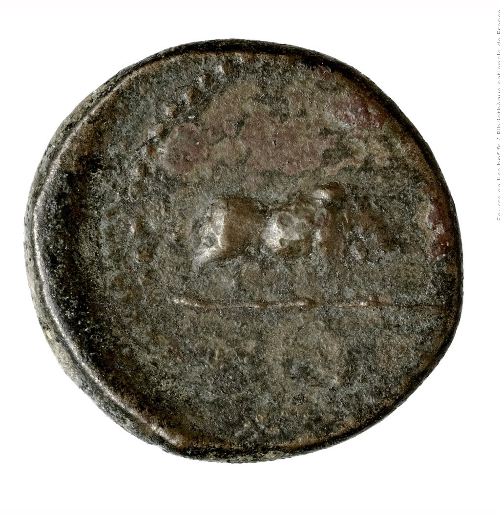 реверс CN Type 12189