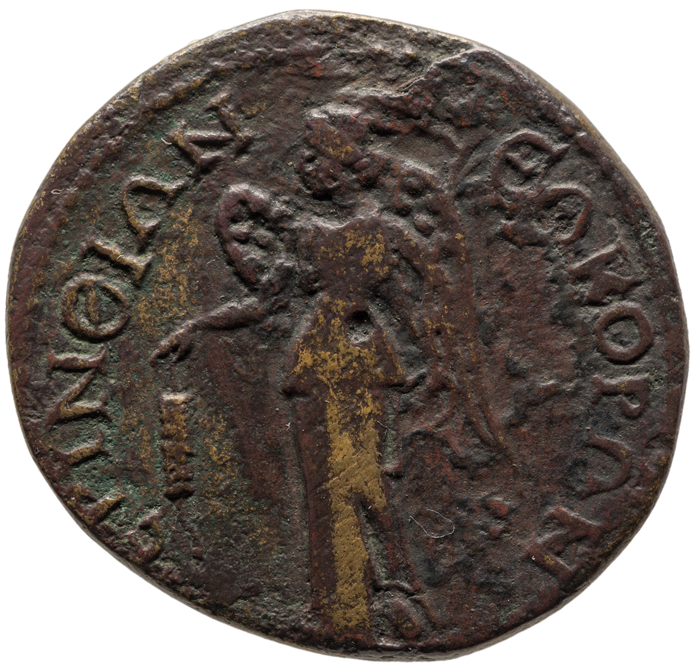 reverse CN Type cn.perinthus.1_ed.238