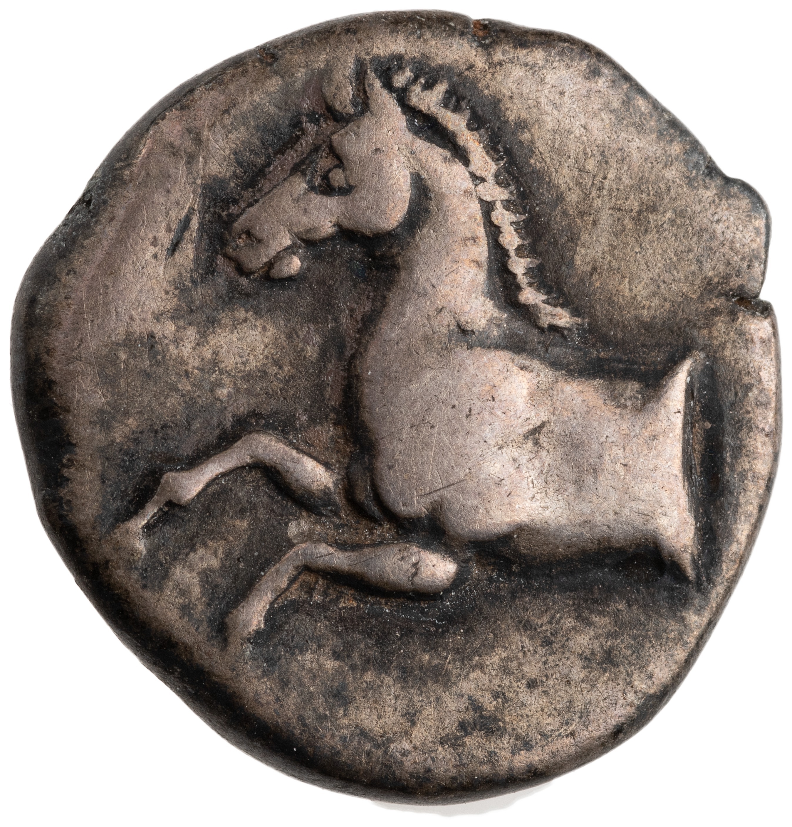 obverse CN Type cn.maroneia.1_ed.102