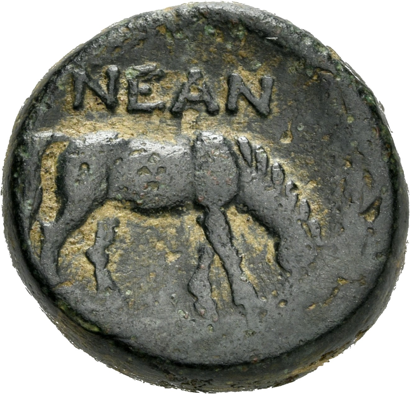 CN Type 5062, реверс, cn-coins