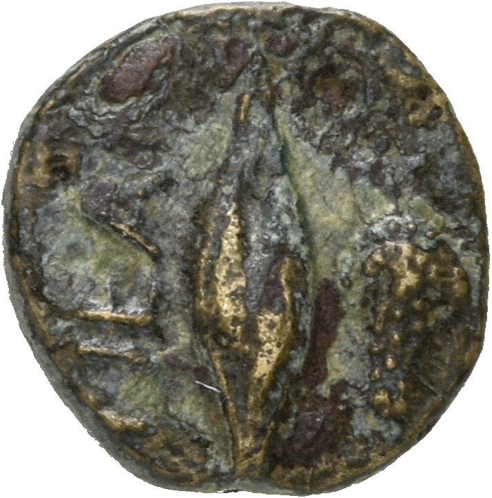 CN Type 5095, реверс, cn-coins