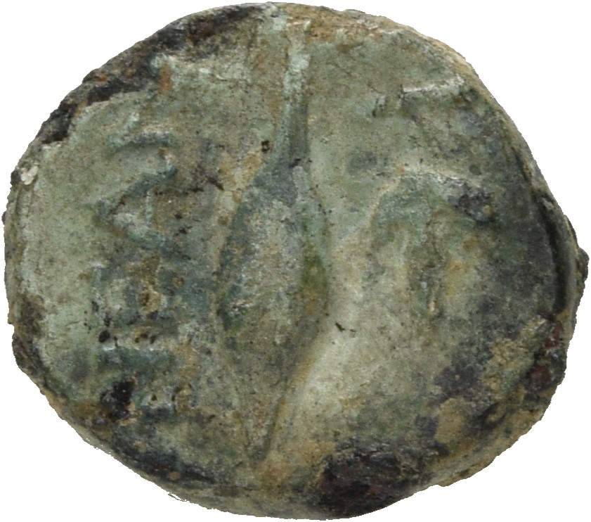 CN Type 5095, реверс, cn-coins