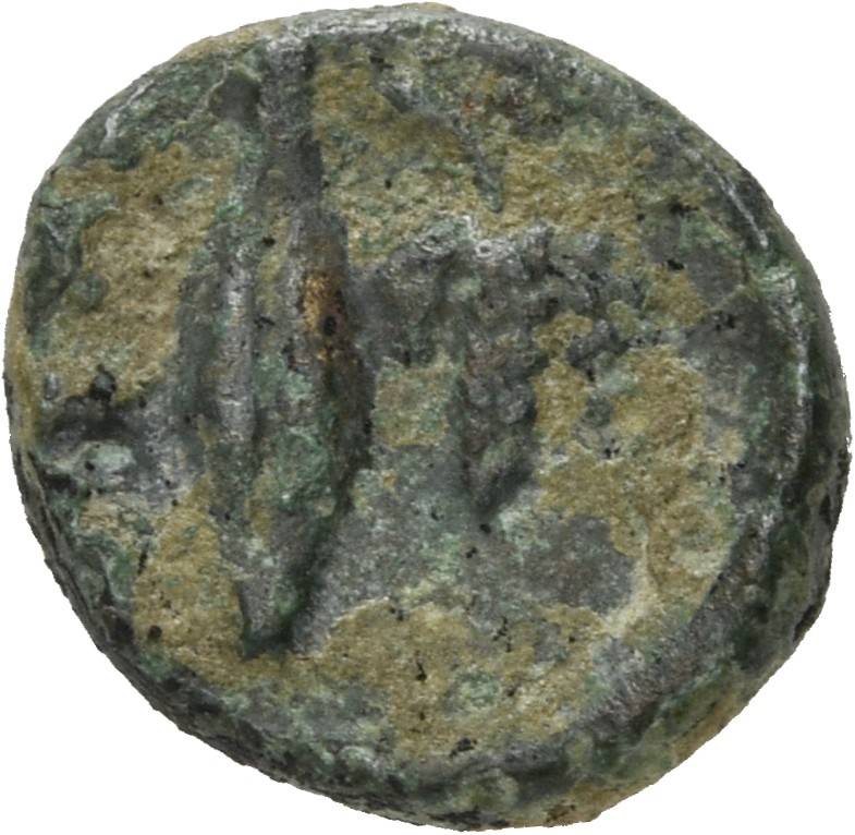 CN Type 5095, реверс, cn-coins