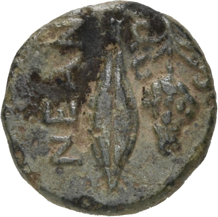 CN Type 5095, реверс, cn-coins