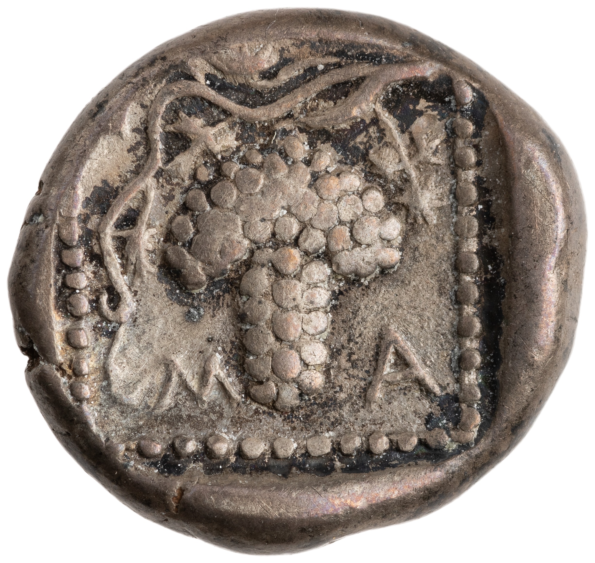 reverse CN Type cn.maroneia.1_ed.110