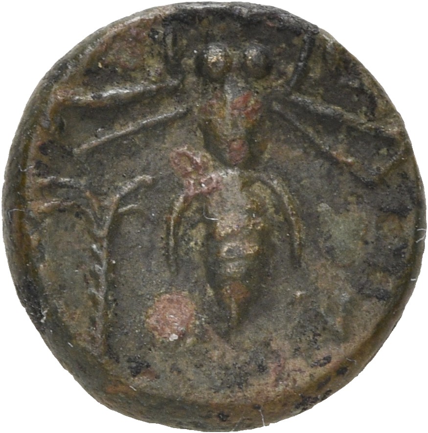 CN Type 5155, реверс, cn-coins