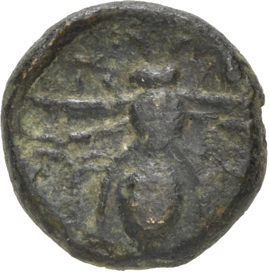 CN Type 5155, реверс, cn-coins