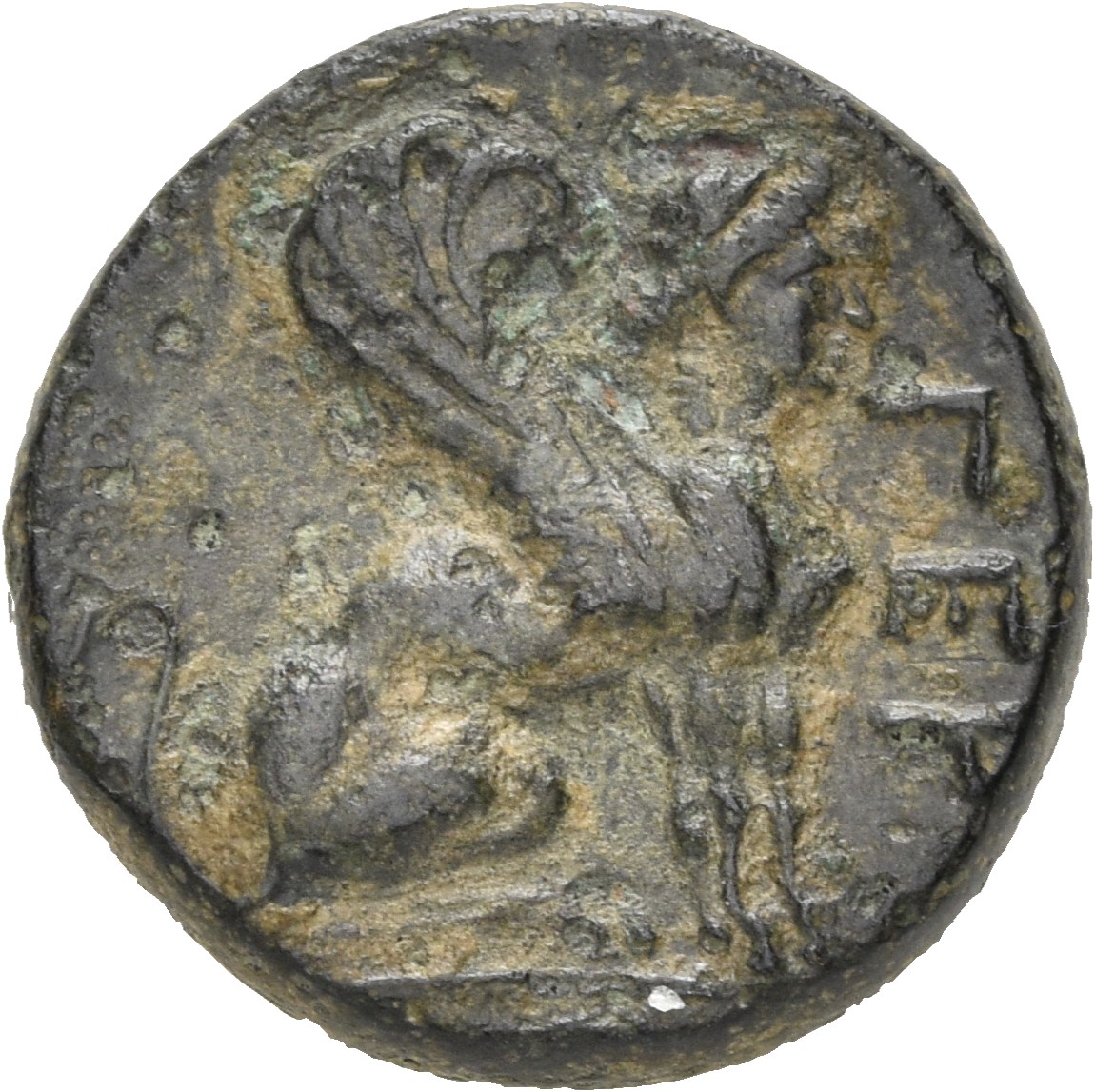 CN Type 5181, реверс, cn-coins