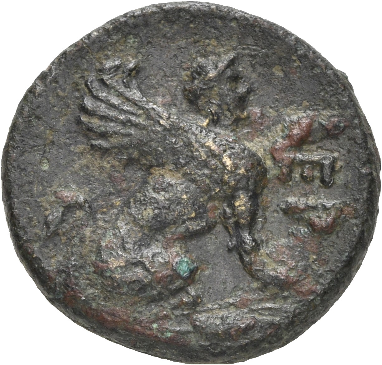 CN Type 5181, реверс, cn-coins