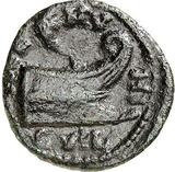 reverse CN Type cn.coela.1_ed.100