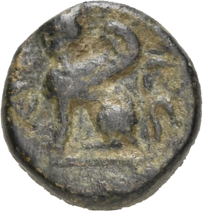coin rev