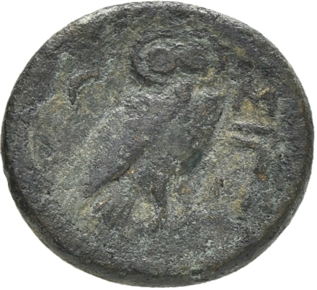 CN Type 5366, реверс, cn-coins