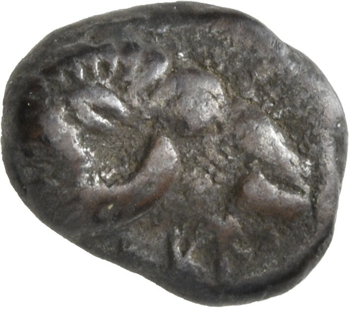 CN Type 5429, аверс, cn-coins