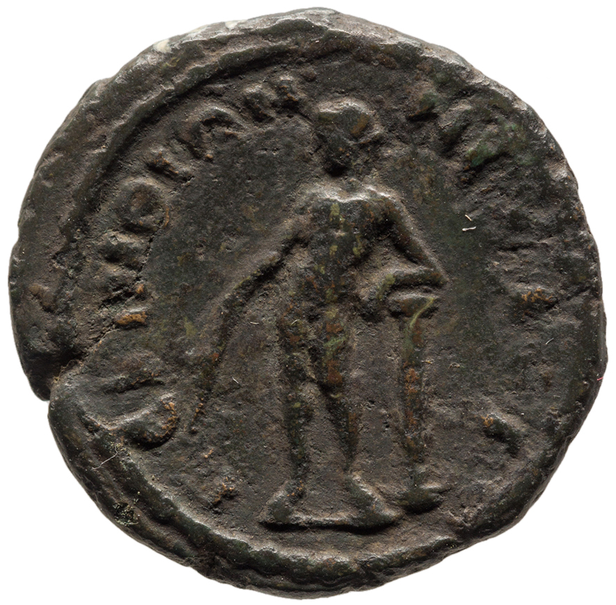 reverse CN Type cn.perinthus.1_ed.253