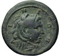 coin rev