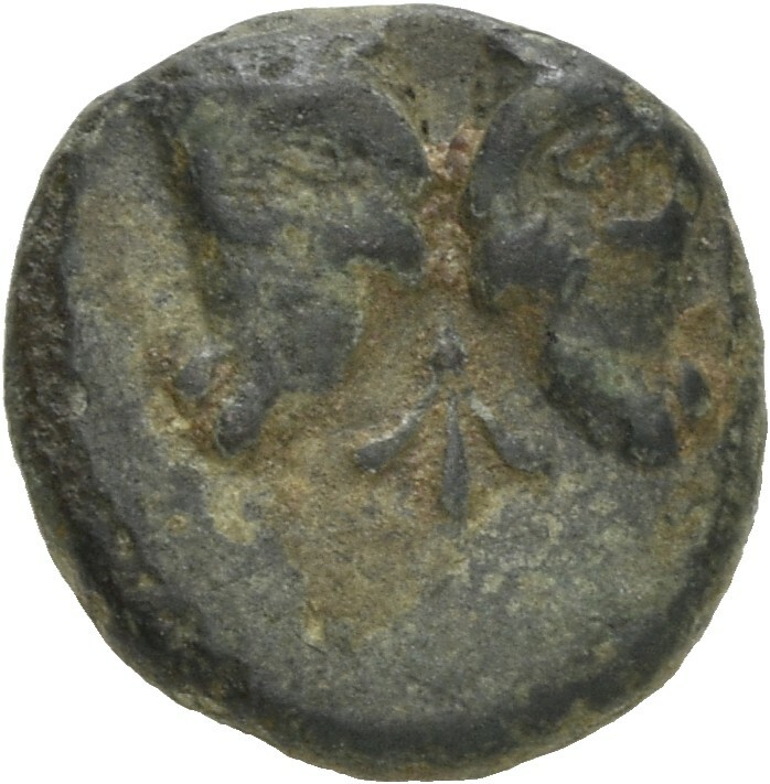 CN Type 5629, аверс, cn-coins