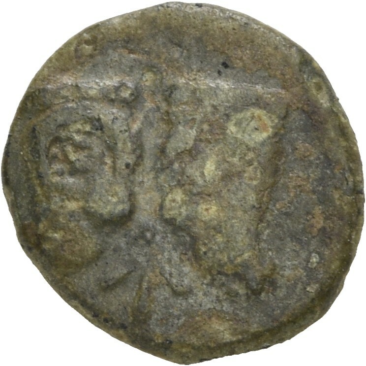 CN Type 5629, аверс, cn-coins