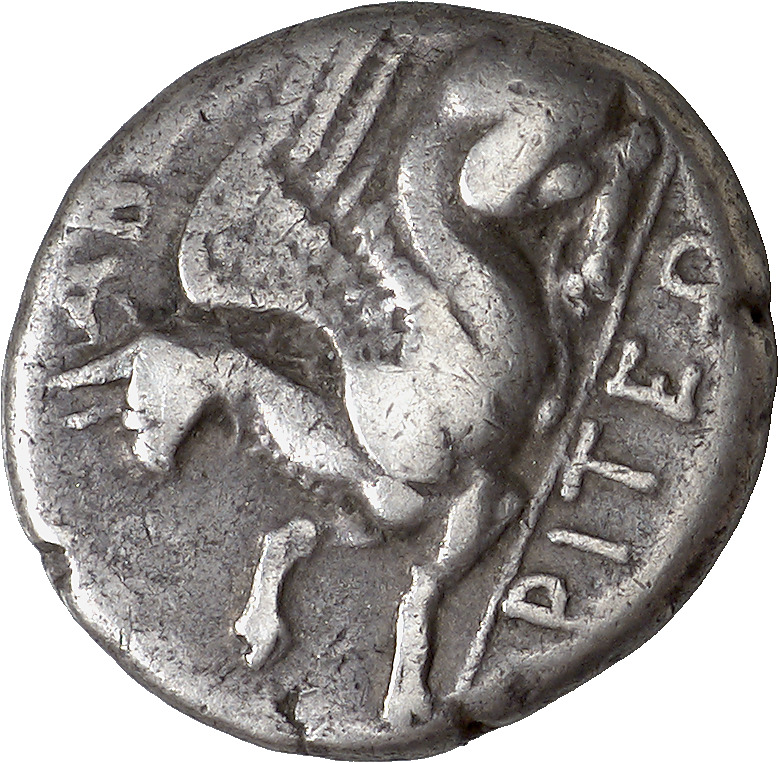 CN Type cn.abdera_thrace.1_ed.221, аверс, cn-coins