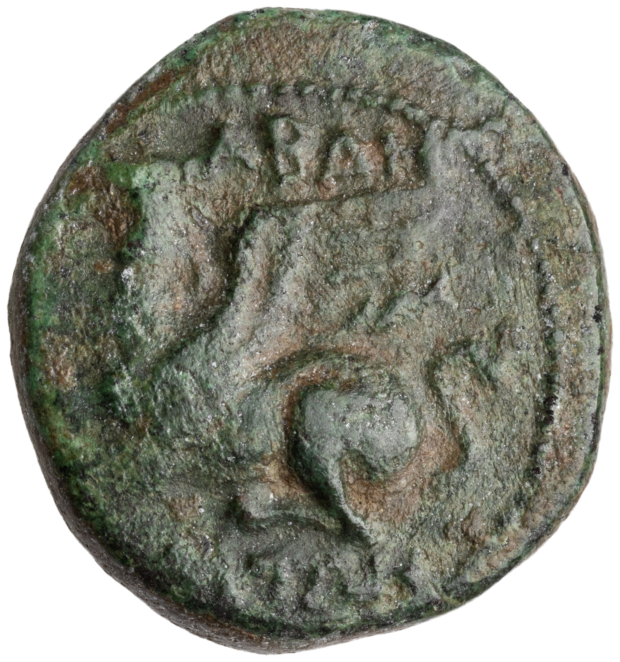 CN Type cn.abdera_thrace.1_ed.321, аверс, cn-coins