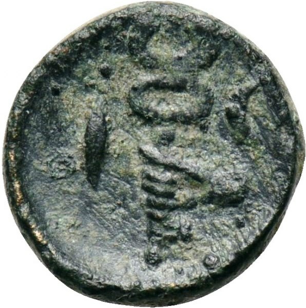 coin rev