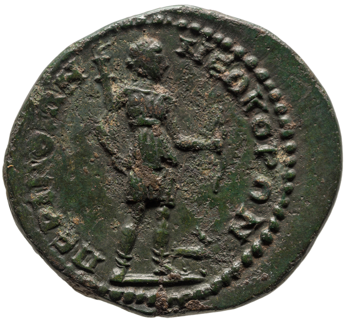 reverse CN Type cn.perinthus.1_ed.265